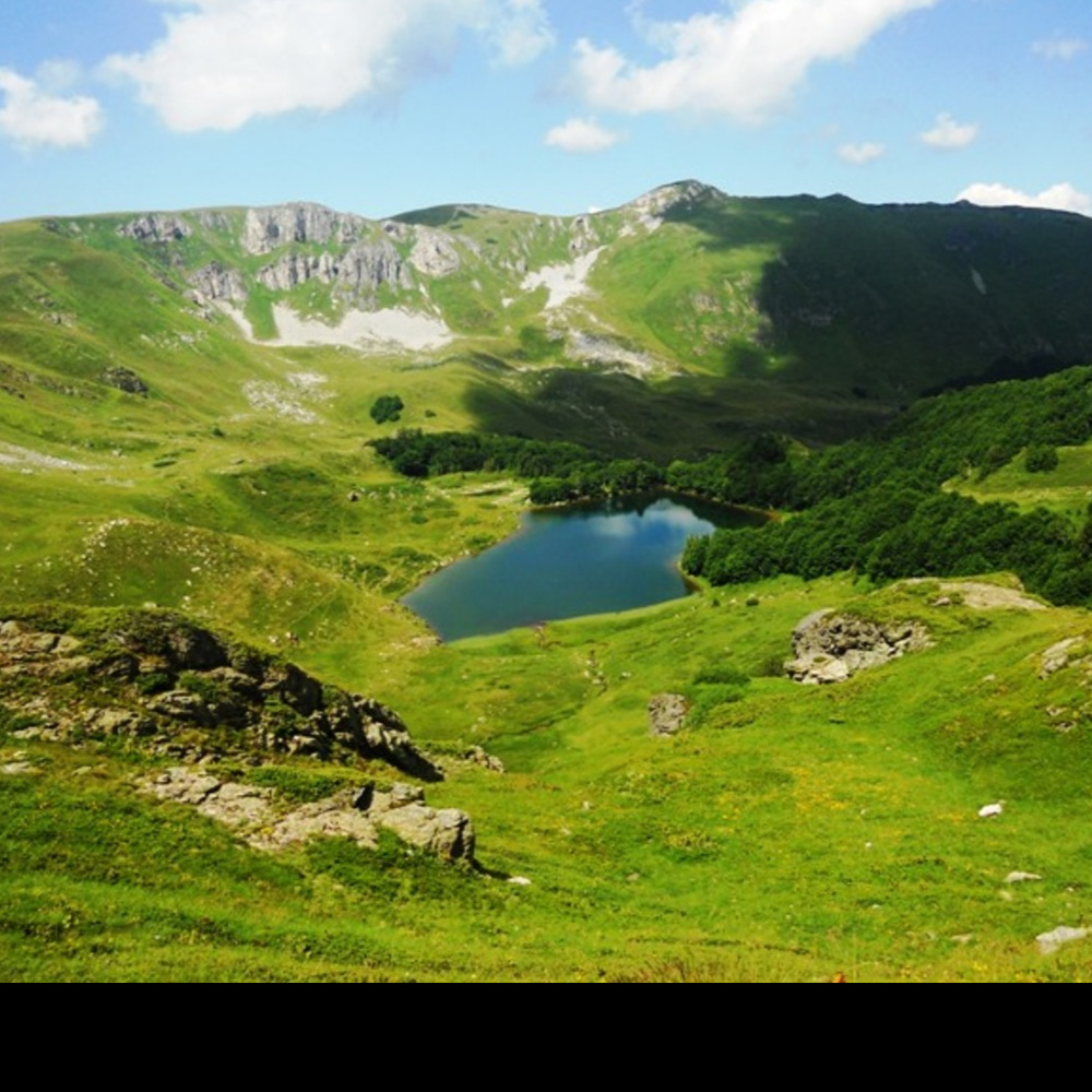 Bjelasica