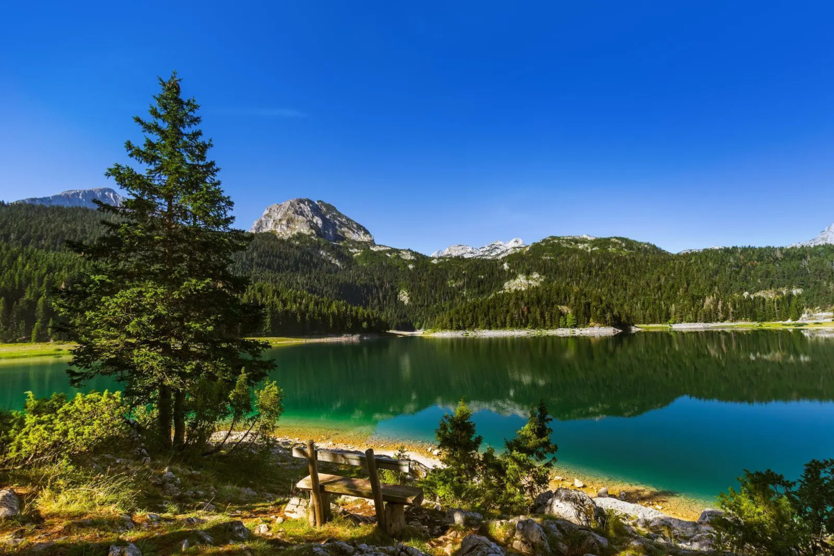 Durmitor Jeep Safari